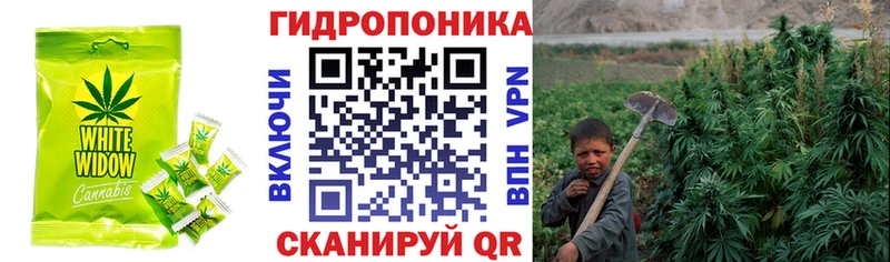 Canna-Cookies конопля  Купить где  Нерюнгри 
