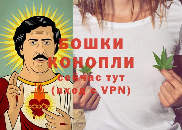 герыч Бронницы