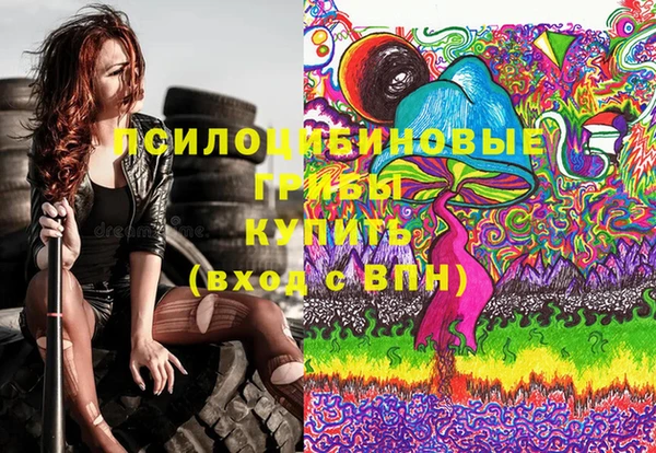 Альфа ПВП Бугульма