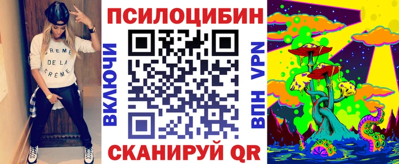 Купить где  Нерюнгри  Галлюциногенные грибы Psilocybine cubensis 