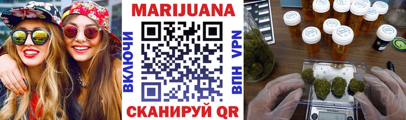 Купить где  Нерюнгри  Бошки марихуана SATIVA & INDICA 